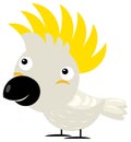 Cartoon asian animal bird cockatoo safari isolated illustration for children