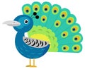 Cartoon asian animal bird peacock isolated illustration for children