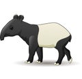 Cartoon Asian tapir isolated on white background Royalty Free Stock Photo