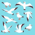 Cartoon atlantic seabird, seagulls flying in blue sky vector set Royalty Free Stock Photo