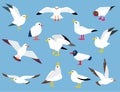 Cartoon atlantic seabird. Royalty Free Stock Photo