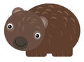 cartoon australian scene with happy and funny wombat on white background - illustration