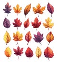 Cartoon Autumn Leaves. Yellow and red autumnal Garden tree leaf set, Autumn Fallen Dry Botanical Forest Leaves Royalty Free Stock Photo