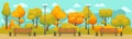 Cartoon autumn park panorama. Autumnal city parks road with yellow and red trees. Fall street tree panoramic vector Royalty Free Stock Photo