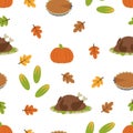 Cartoon autumn turkey pattern