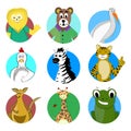 Cartoon avatar animal kangaroo lion and giraffe mascot