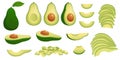 Cartoon avocado. Ripe avocados fruits, healthy nutritious natural food and avocado slices vector illustration set