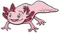 Cartoon axolotl aquatic animal character