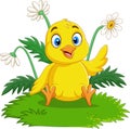 Cartoon baby chick sitting on the grass Royalty Free Stock Photo