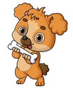 Cartoon baby dog holding big bone Royalty Free Stock Photo