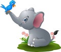 Cartoon baby elephant playing with blue bird Royalty Free Stock Photo