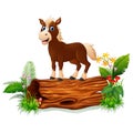 Cartoon baby horse on tree trunk