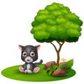 Cartoon baby jaguar sitting under a tree on a white background