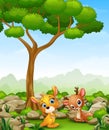 Cartoon baby kangaroo with baby deer in the jungle Royalty Free Stock Photo