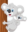 Cartoon baby koala on mother's back embracing tree Royalty Free Stock Photo