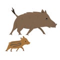 Cartoon baby and mother wild pig. Colorful vector illustration for children isolated on white background.