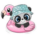 Cartoon baby Panda swimming on pool ring inflatable flamingo