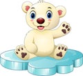 Cartoon baby polar bear sitting on floe Royalty Free Stock Photo