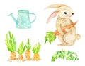 Cartoon baby rabbits with carrot. Hand drawn watercolor illustration isolated on white background