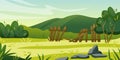 Cartoon backyard. Sky and nature meadow. Wooden fence. Lawn flowers. Trees and bushes. Natural field and green mountain