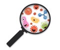 Cartoon bacteria under a magnifying glass