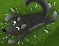 Cartoon bad wolf on grass with his teeth knocked out