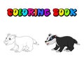 Cartoon badger coloring book isolated on white background