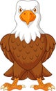 Cartoon bald eagle posing isolated on white background