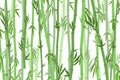 Cartoon Bamboo Forest Landscape Background. Vector