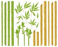 Cartoon bamboo plants. Asian bamboo stems, stalks and leaves, fresh green stick plants with foliage, natural bamboo