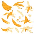Cartoon banana. Yellow tropical fruit, unpeeled whole and pieces, bunch and peel, sweet flavour exotic natural raw food