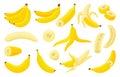 Cartoon bananas. Fresh isolated banana, cuts slices, in peel and peeled fruit. Exotic vitamin food, tropical vegetarian Royalty Free Stock Photo