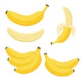 Cartoon bananas. Peel banana, yellow fruit and bunch of bananas