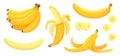 Cartoon bananas. Peel banana, yellow fruit and bunch of bananas isolated vector illustration set