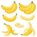 Cartoon bananas. Tropical yellow fruit, peeled banana and bunch of ripe bananas, vegetarian fresh fruits isolated vector Royalty Free Stock Photo