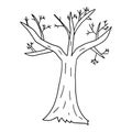 Cartoon bare winter tree in doodle style isolated on white background