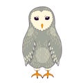 Cartoon barn owl. Colored vector bird art Royalty Free Stock Photo