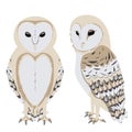 Cartoon Barn Owl