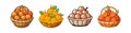 Cartoon Basket Filled with Orange Fruit Illustration Design Royalty Free Stock Photo