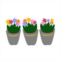 Cartoon baskets with wild flowers