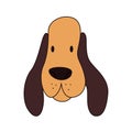 Cartoon basset hound head isolated. Colored vector illustration of a dogs head with an outline on a white background