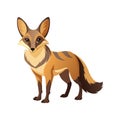 Cartoon Bat-Eared Fox Isolated on a White Background Royalty Free Stock Photo