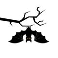 Cartoon bat hanging on tree branch. Happy Halloween card. Vector illustration Royalty Free Stock Photo