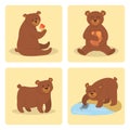 Cartoon bear character teddy pose vector set wild grizzly cute illustration adorable animal design.