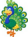 Cartoon beautiful peacock on white background