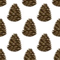 Cartoon beautiful pine cone. Seamless pattern. Vector Illustration Royalty Free Stock Photo