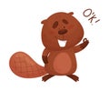 Cartoon Beaver Character Standing and Showing Ok Gesture Vector Illustration