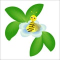 Cartoon bee and blue flower with leaves on white background