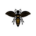 Cartoon bee mascot. A small bees flies. Wasp collection. Vector characters. Incest icon. Template design for invitation