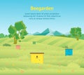 Cartoon Beekeeping Apiary Farm Garden Landscape Background Card Poster. Vector